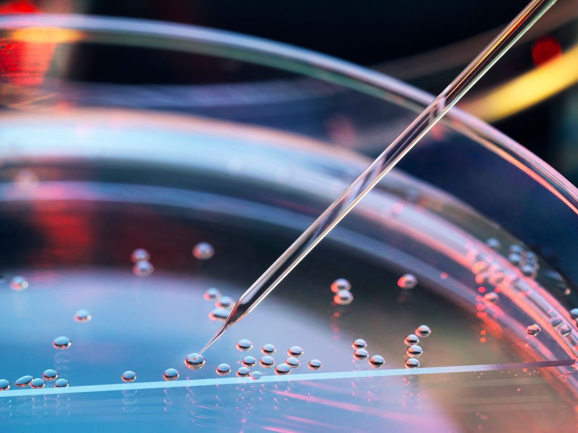 close up of petri dish and bubbles